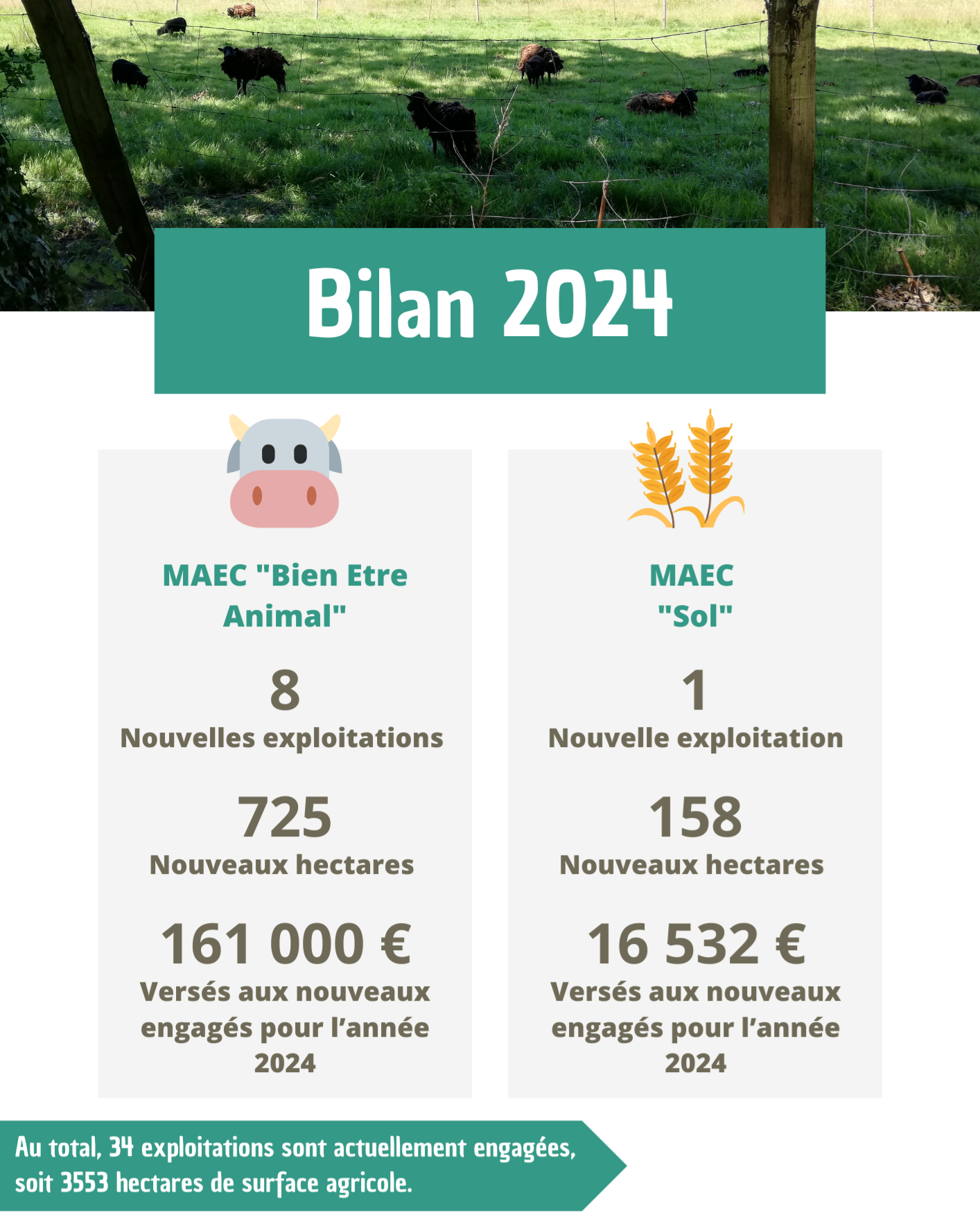 Bilan MAEC 2024