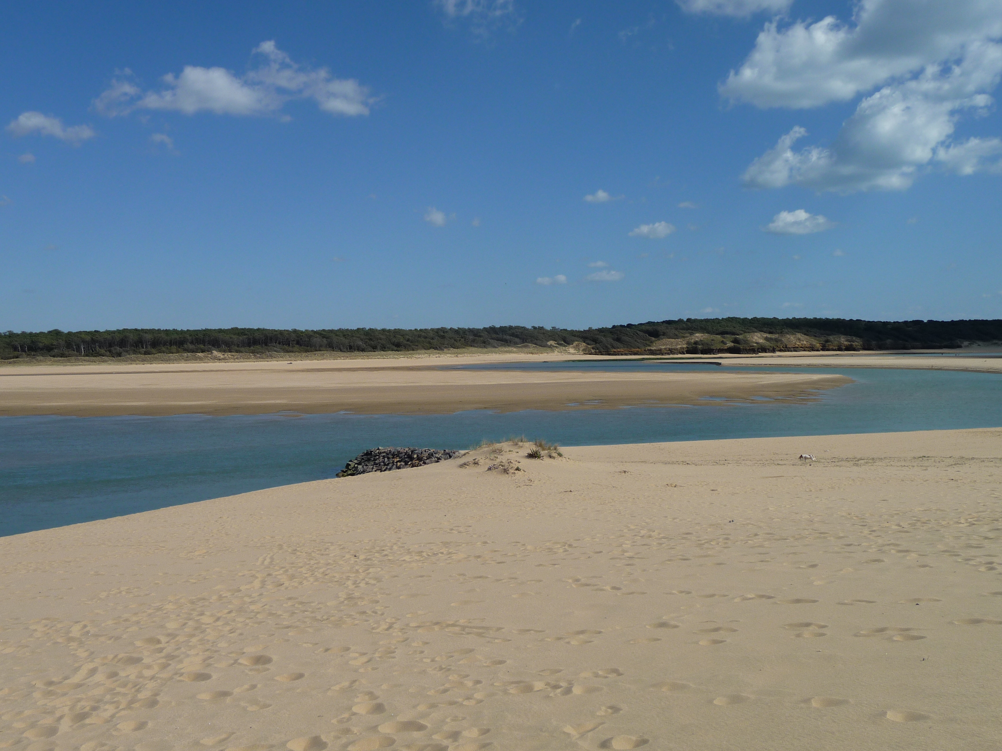 estuaire du Payré